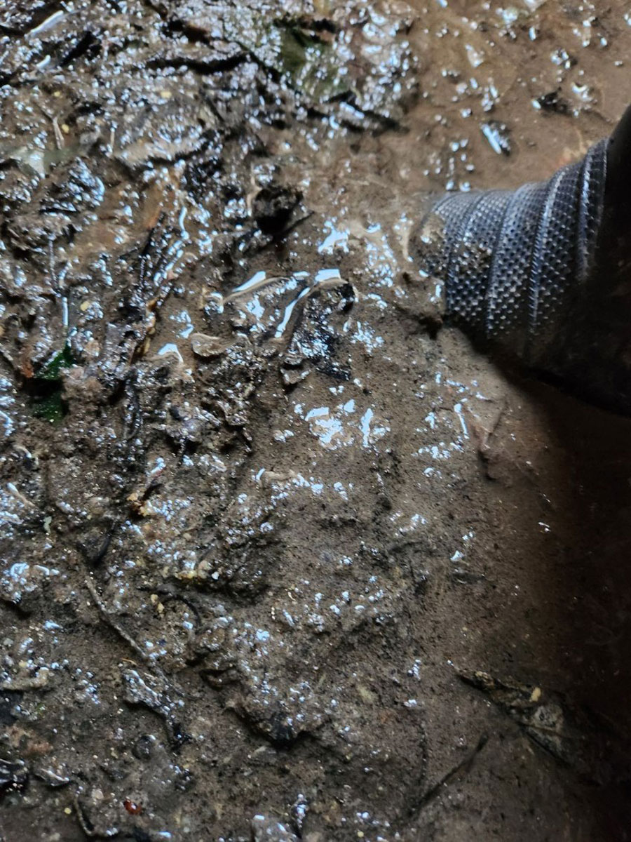 Sludge and muck at the bottom of a water tank before cleaning